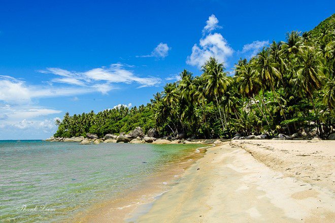 Đảo được bao quanh bởi những rặng dừa ng&uacute;t ng&agrave;n, chạy dọc theo bờ biển mang một d&aacute;ng vẻ hoang sơ, chưa c&oacute; dấu vết của sự khai ph&aacute;.